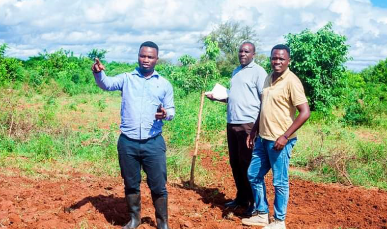 How to Create the Perfect Autumnal Cheeseboard