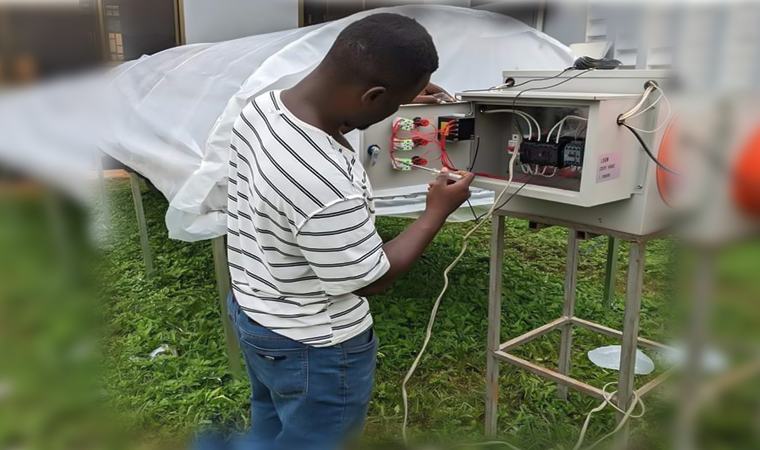 How to Create the Perfect Autumnal Cheeseboard