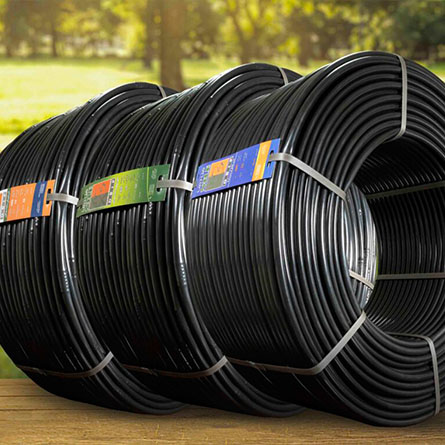 Bring on the post-Brexit vertical farming revolution