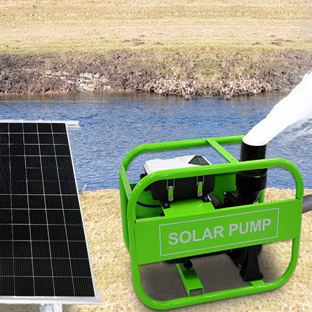 Developing Health Concepts for Ecological Agriculture