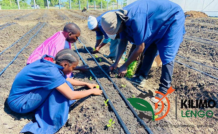 Organic Fresh Fruits